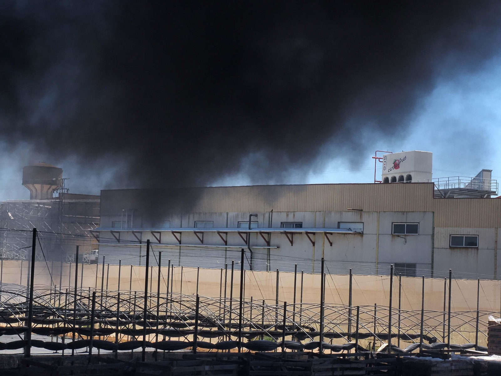 Las imágenes del aparatoso fuego que ha arrasado un vivero en Cartaya