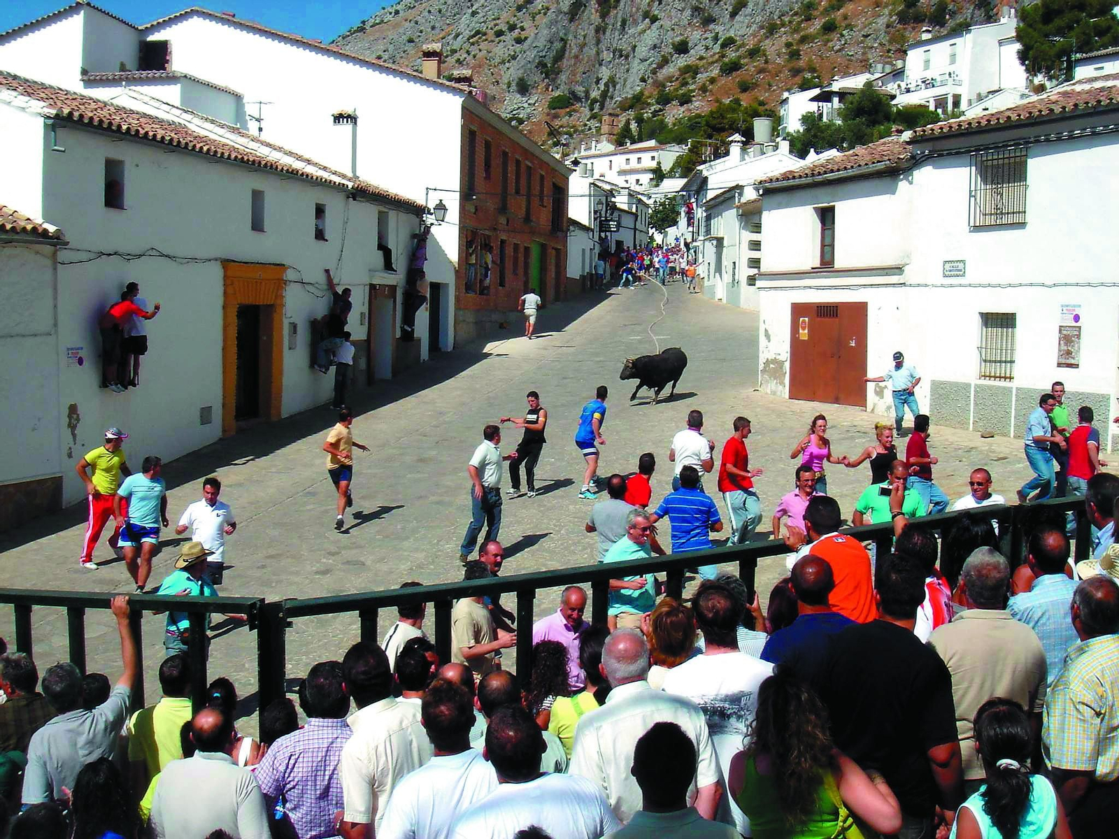 Imagen de una suelta de toros de cuerda en la localidad.