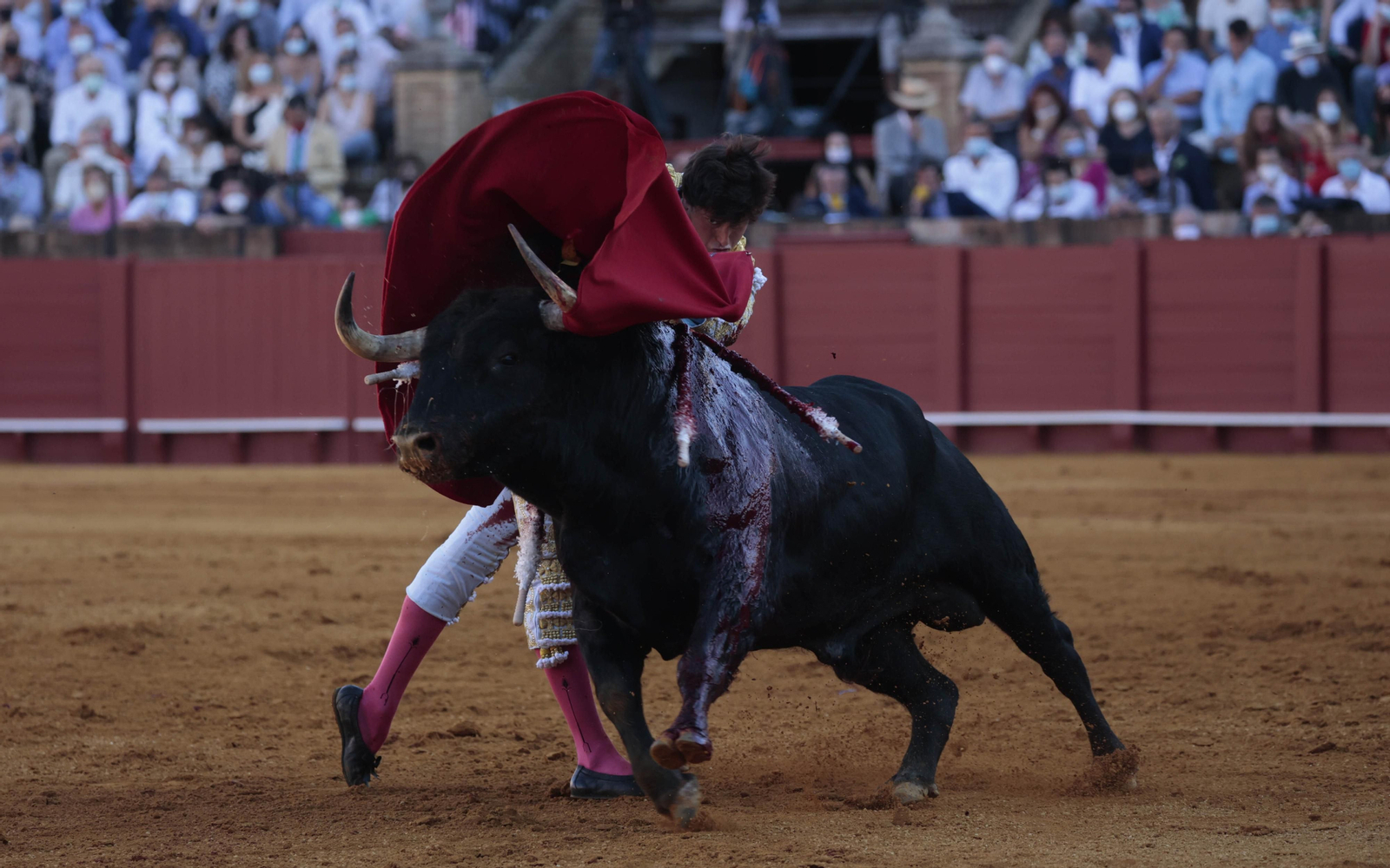 Las imágenes del primer festejo de San Miguel