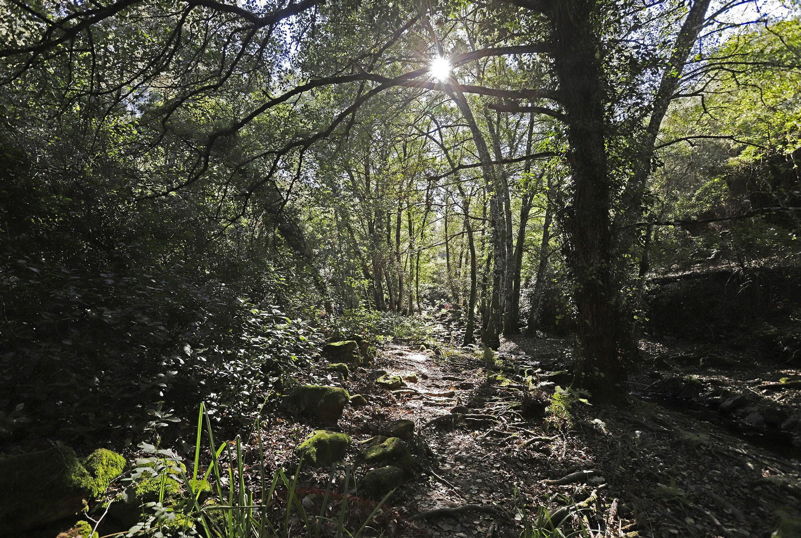 Ruta de Senderismo Charco Malo