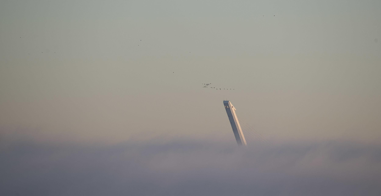 La niebla cubre Sevilla