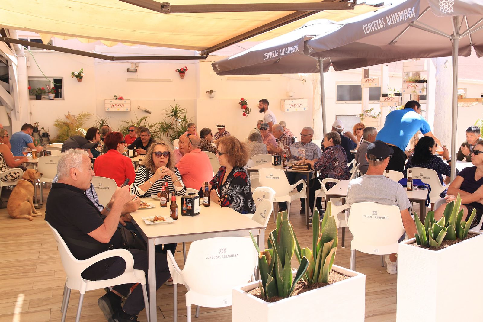 Garrucha llena sus bares con la VI Ruta de la Tapa