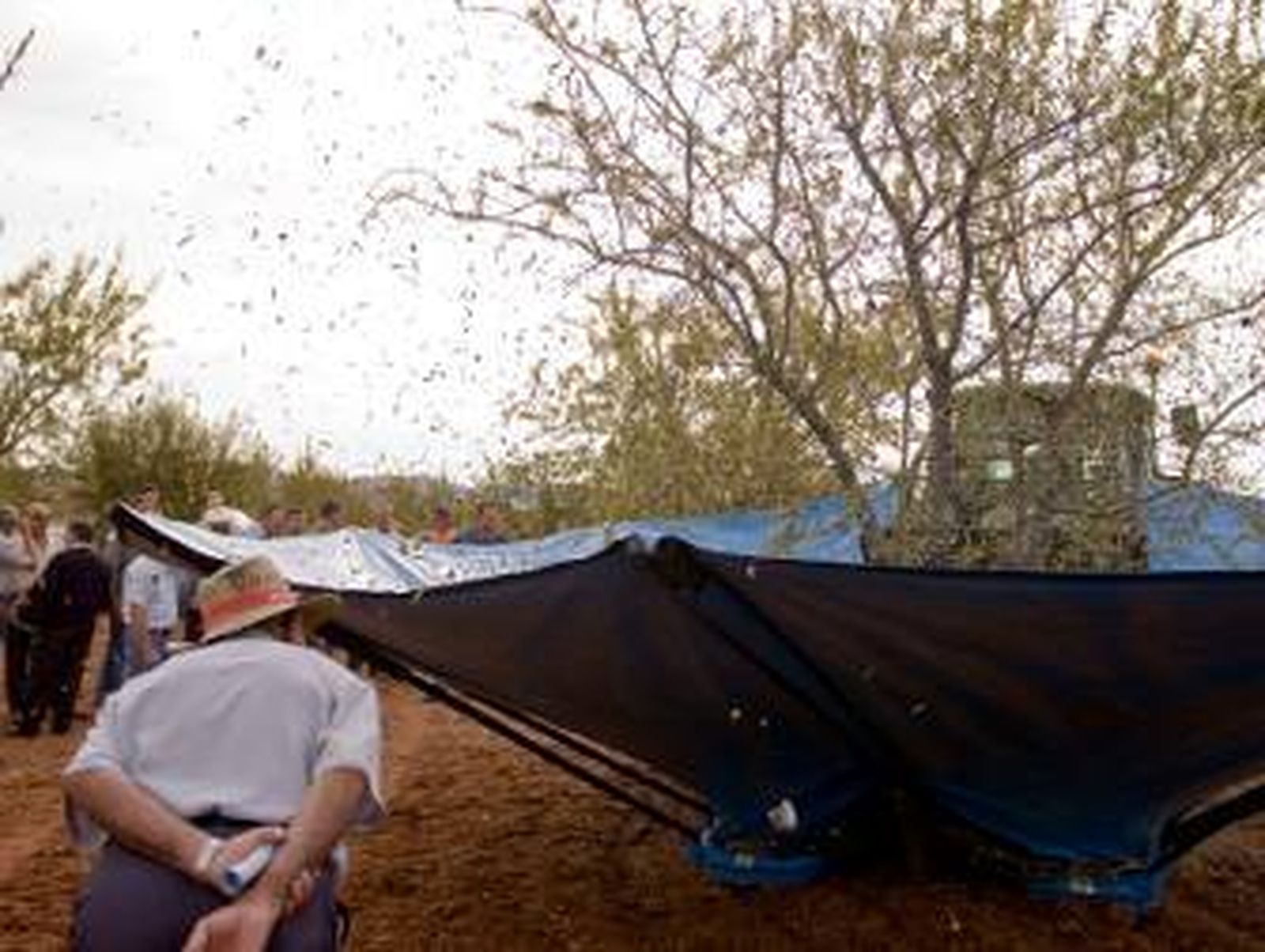 El nuevo PDR traerá 1.859 millones para el sector agrario andaluz