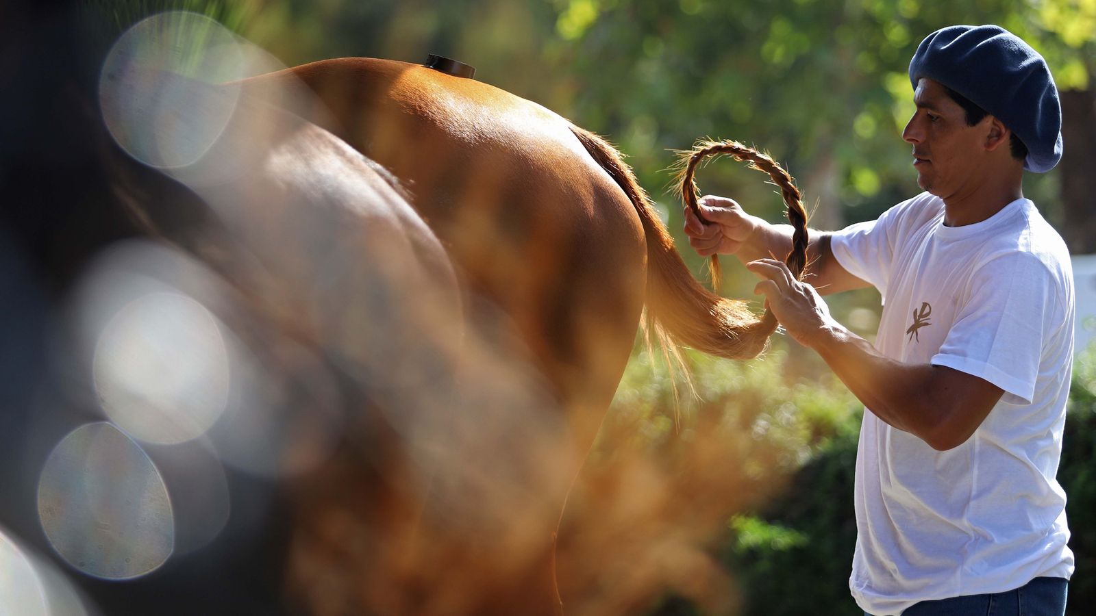 El polo desde dentro