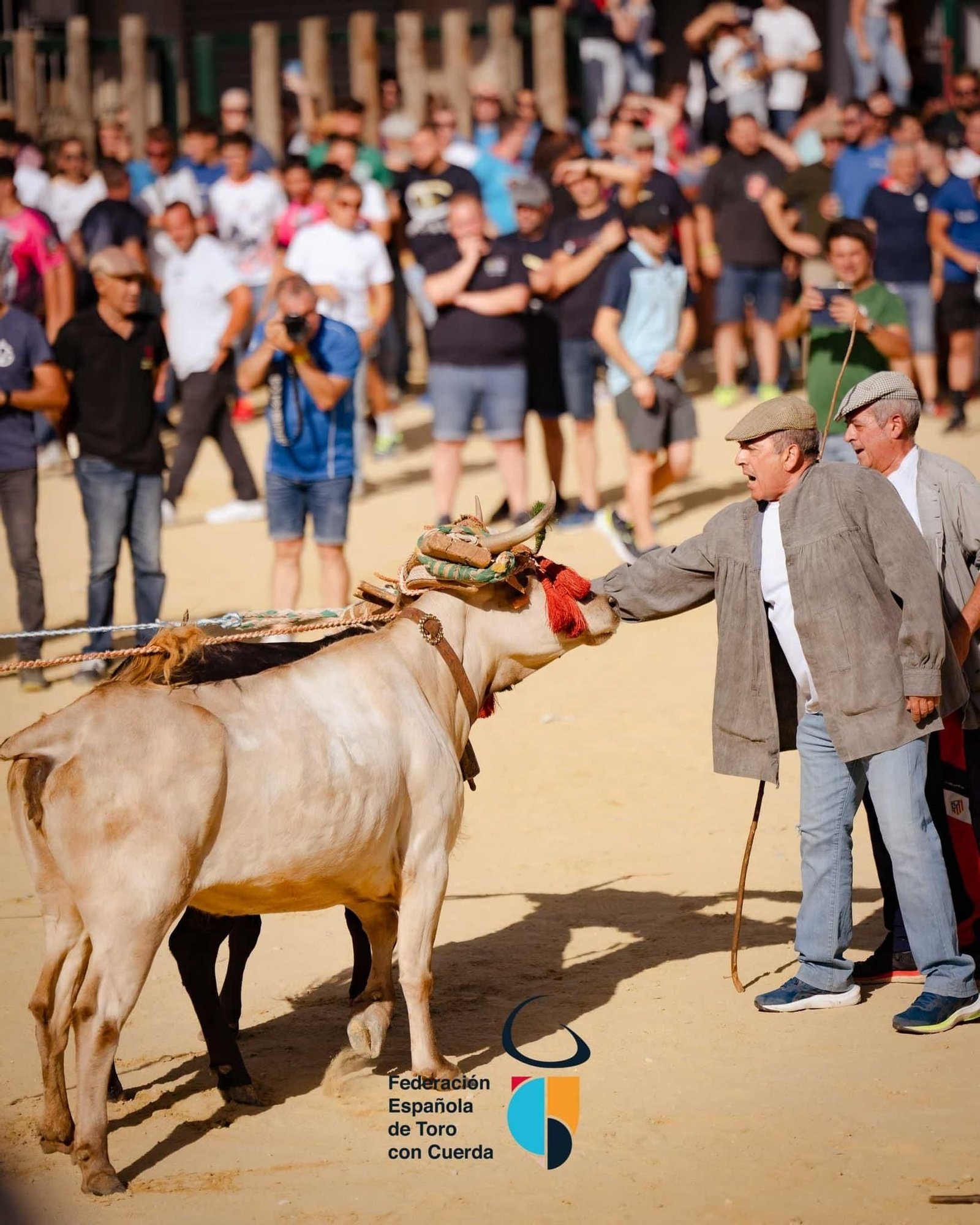 Congreso Nacional ‘Toro con Cuerda’ de Beas de Segura, en imágenes
