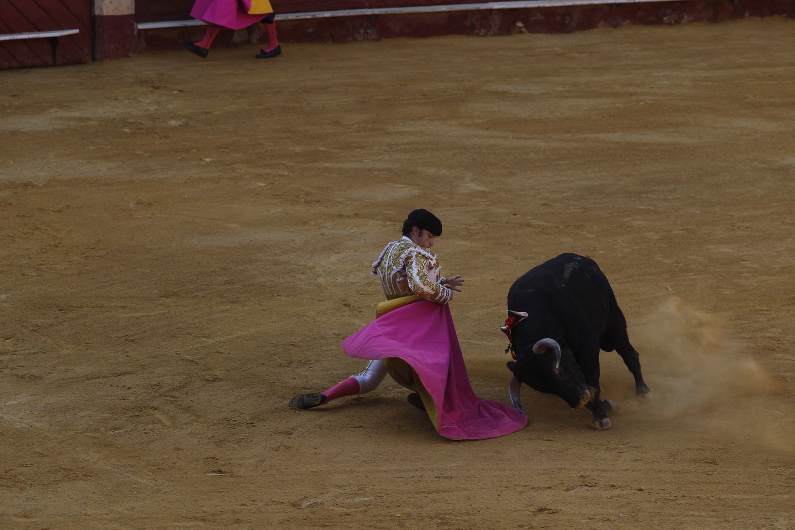 Fotogalería novillada Escuela Taurina de Almería. Feria de Almería 2019