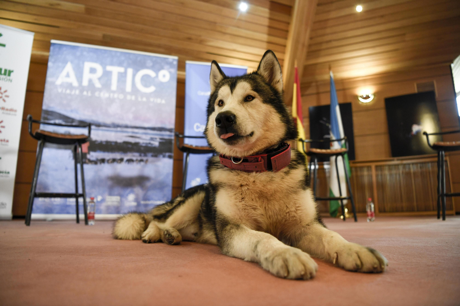 Fotos de 'Desafío Ártico' en Granada, Desafío Ártico', docuserie sobre una expedición al Polo Norte