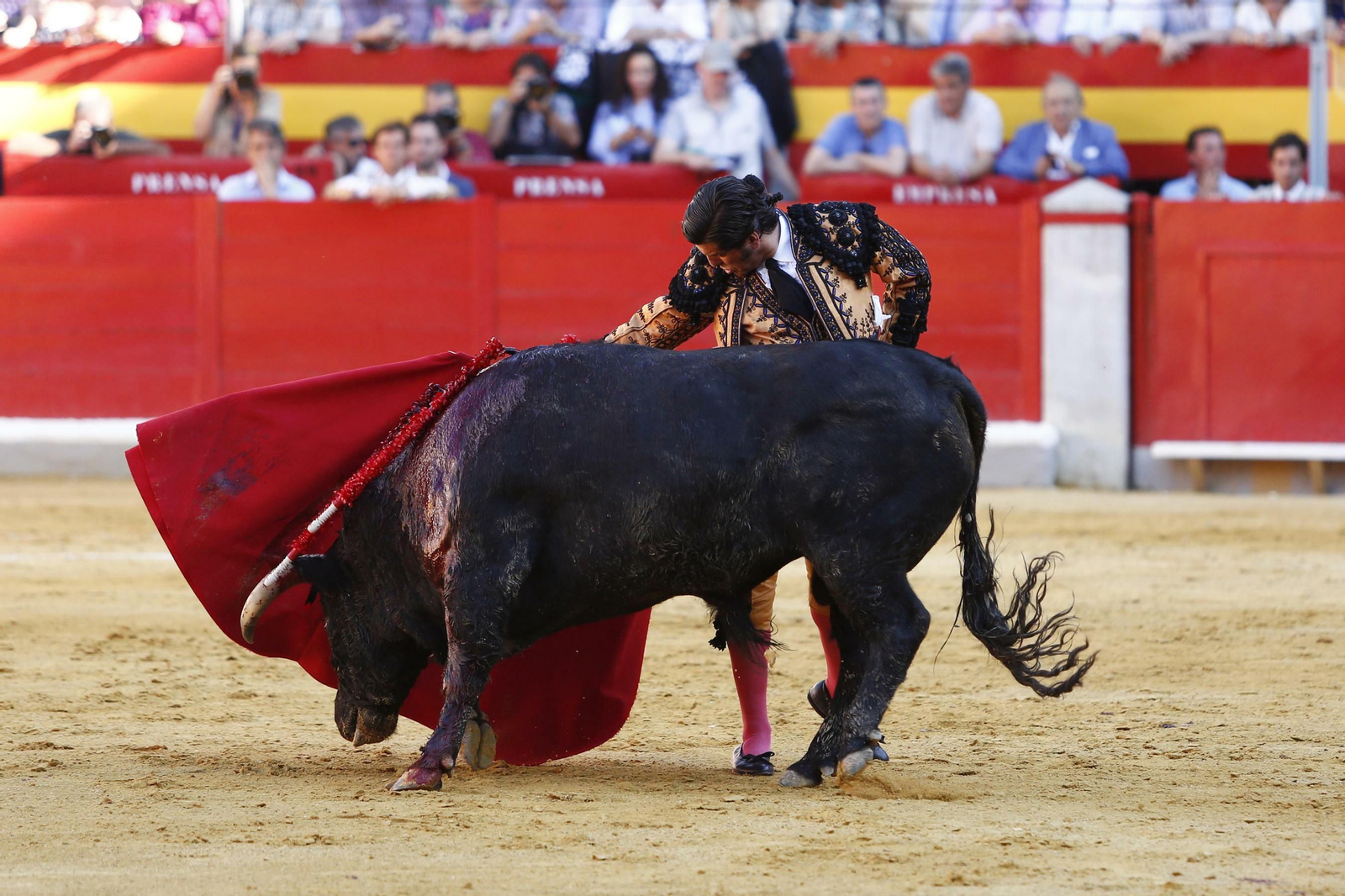 Las mejores imágenes de los toros en el Corpus