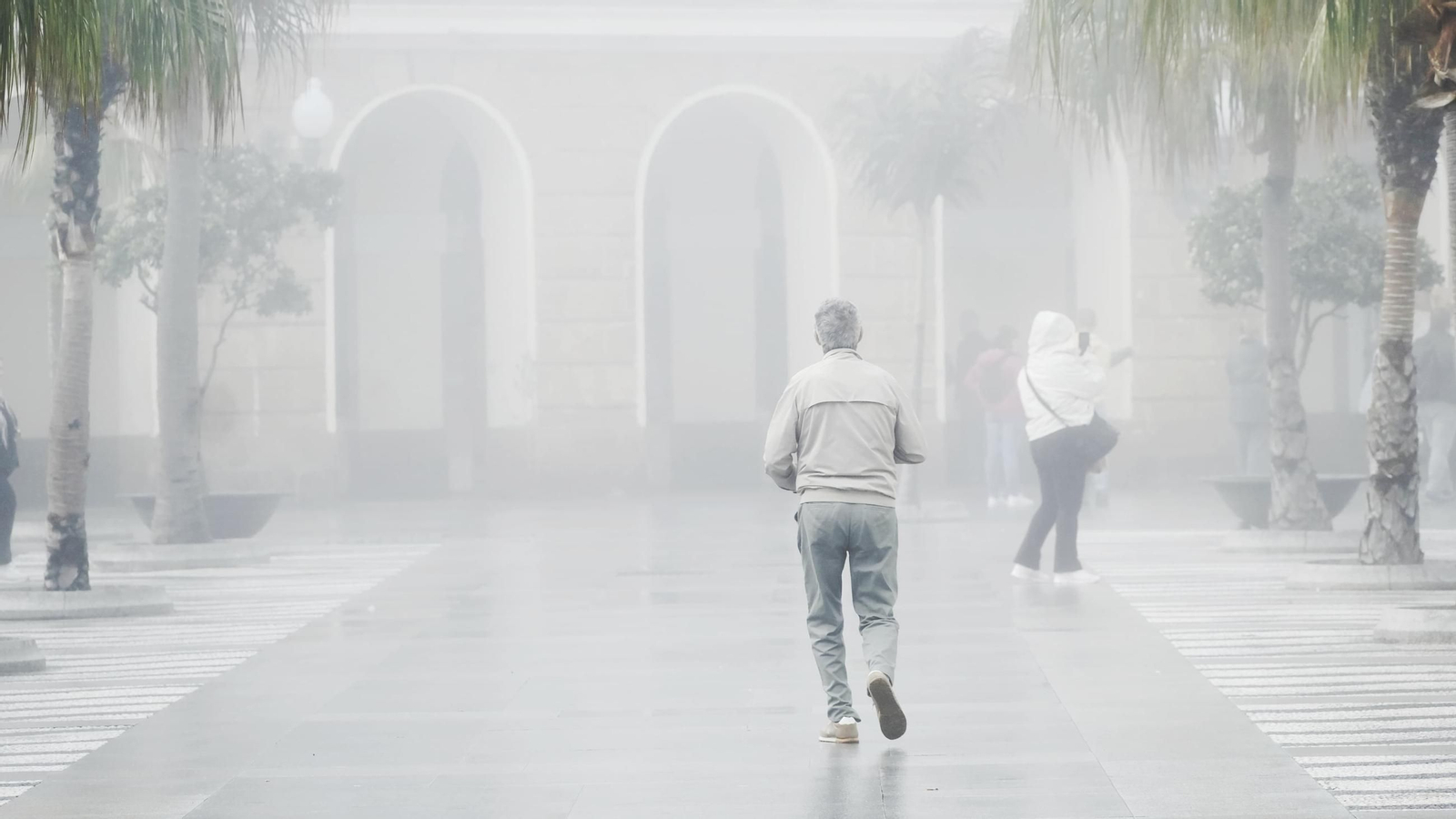La niebla invade Cádiz