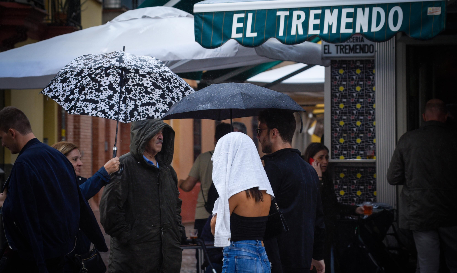 Imágenes del temporal de lluvia y viento en Sevilla