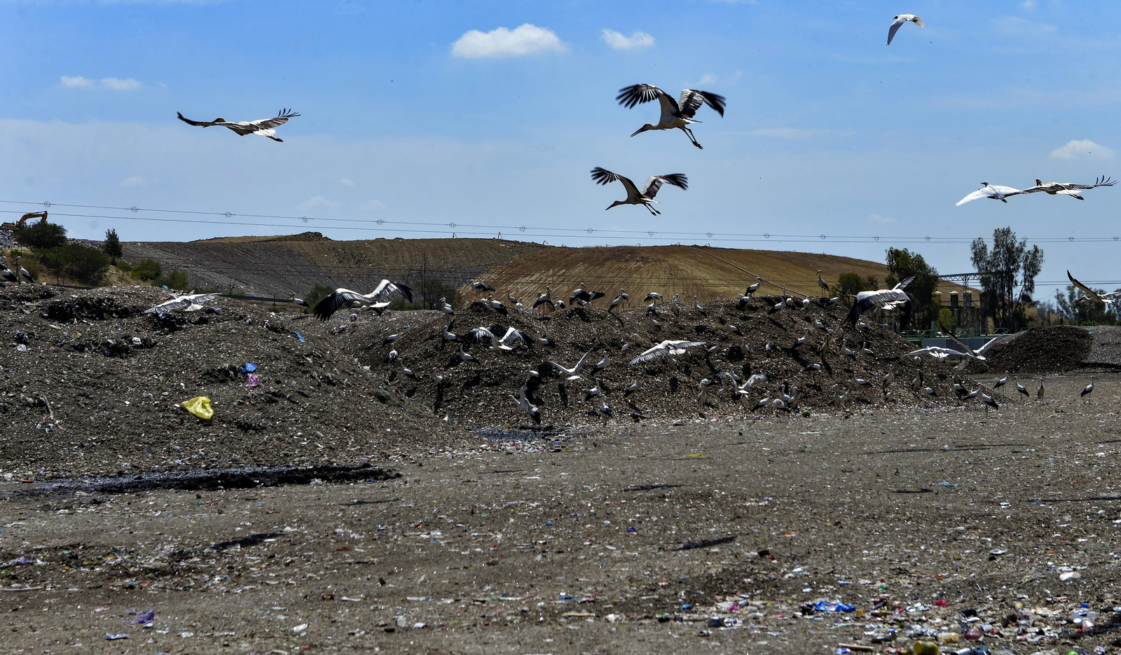 Instalaciones de la planta de tratamiento de residuos de MonteMarta Cónica