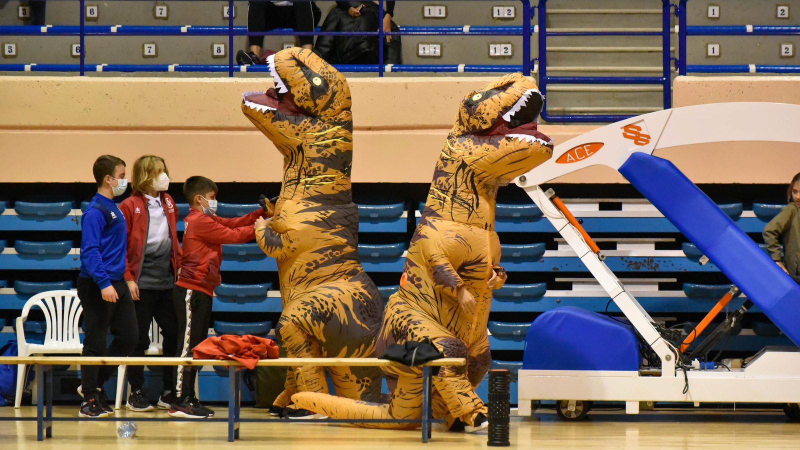 Las fotos del Balonmano Ciudad de algeciras - Safa Madrid