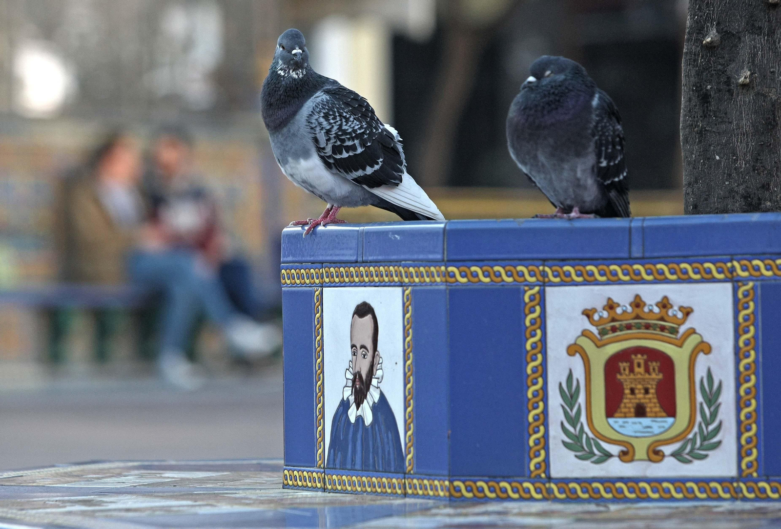 Dos palomas en uno de los bancos de la Plaza Alta.