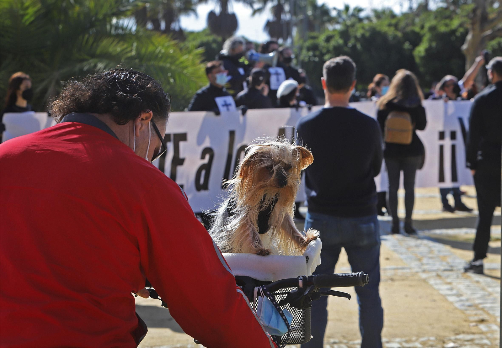Contentración de los autónomos en el González Hontoria.