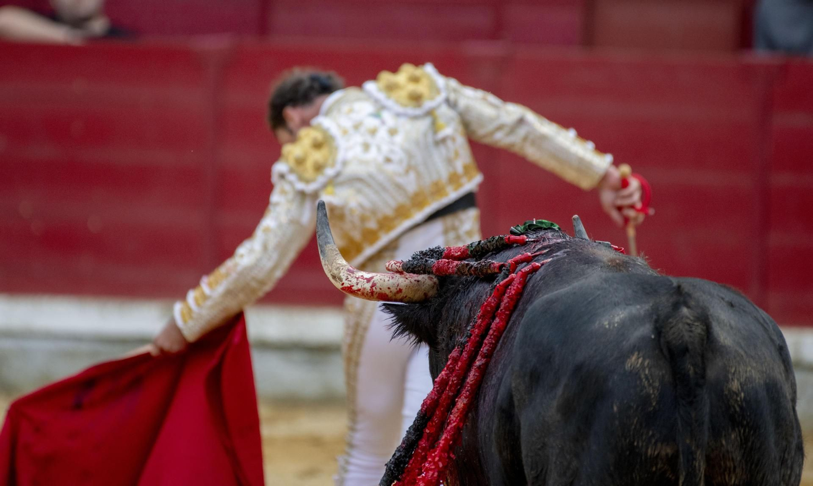 La primera corrida de San Lucas con el Fandi, Ferrera y Escribano, en imágenes
