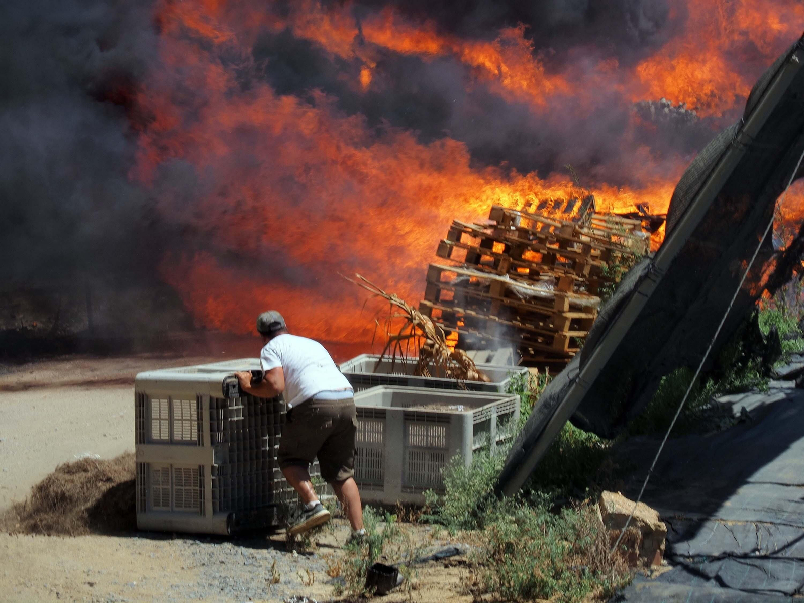 Las imágenes del aparatoso fuego que ha arrasado un vivero en Cartaya