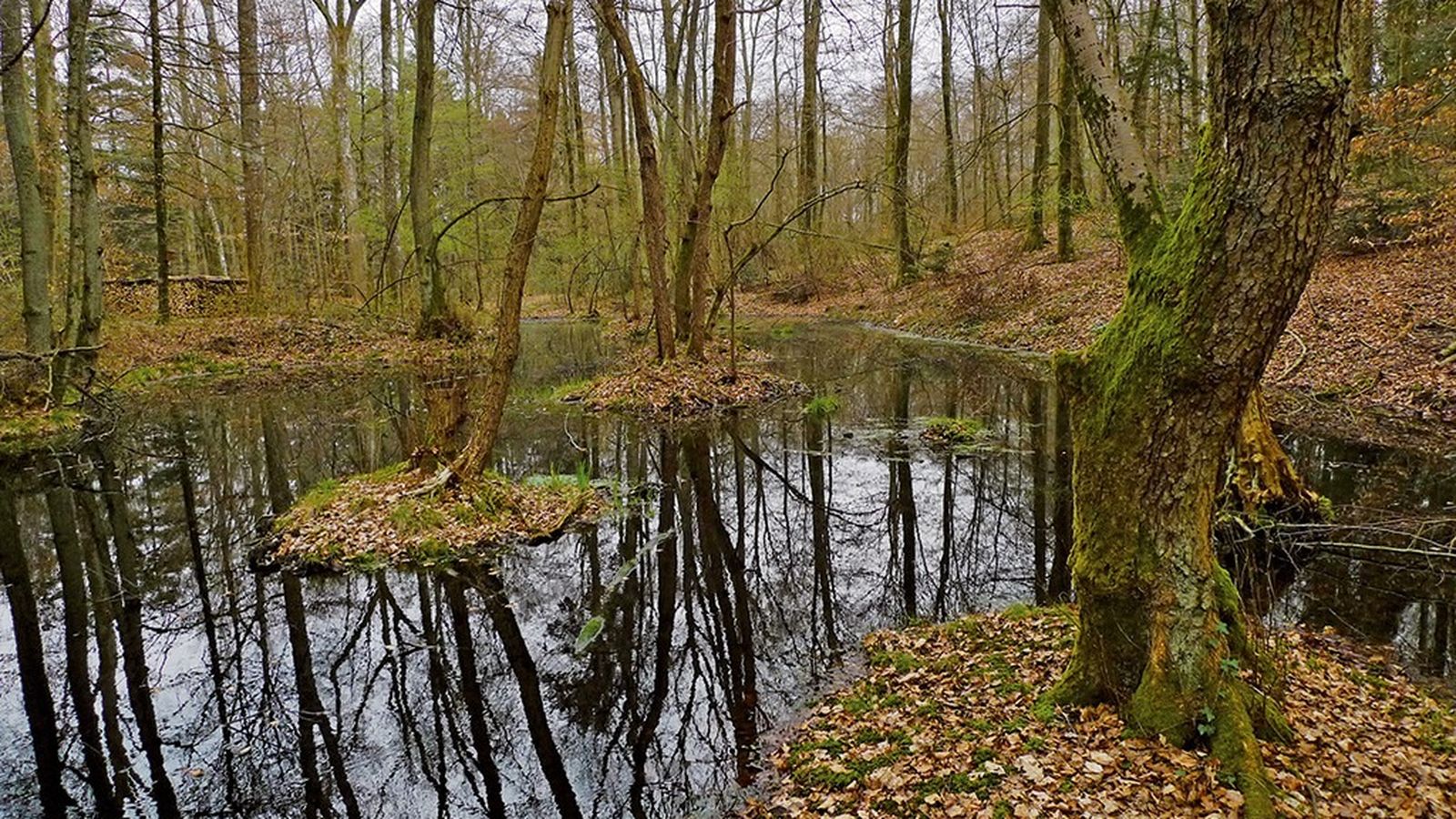 El pantano donde se hallaron las moenda