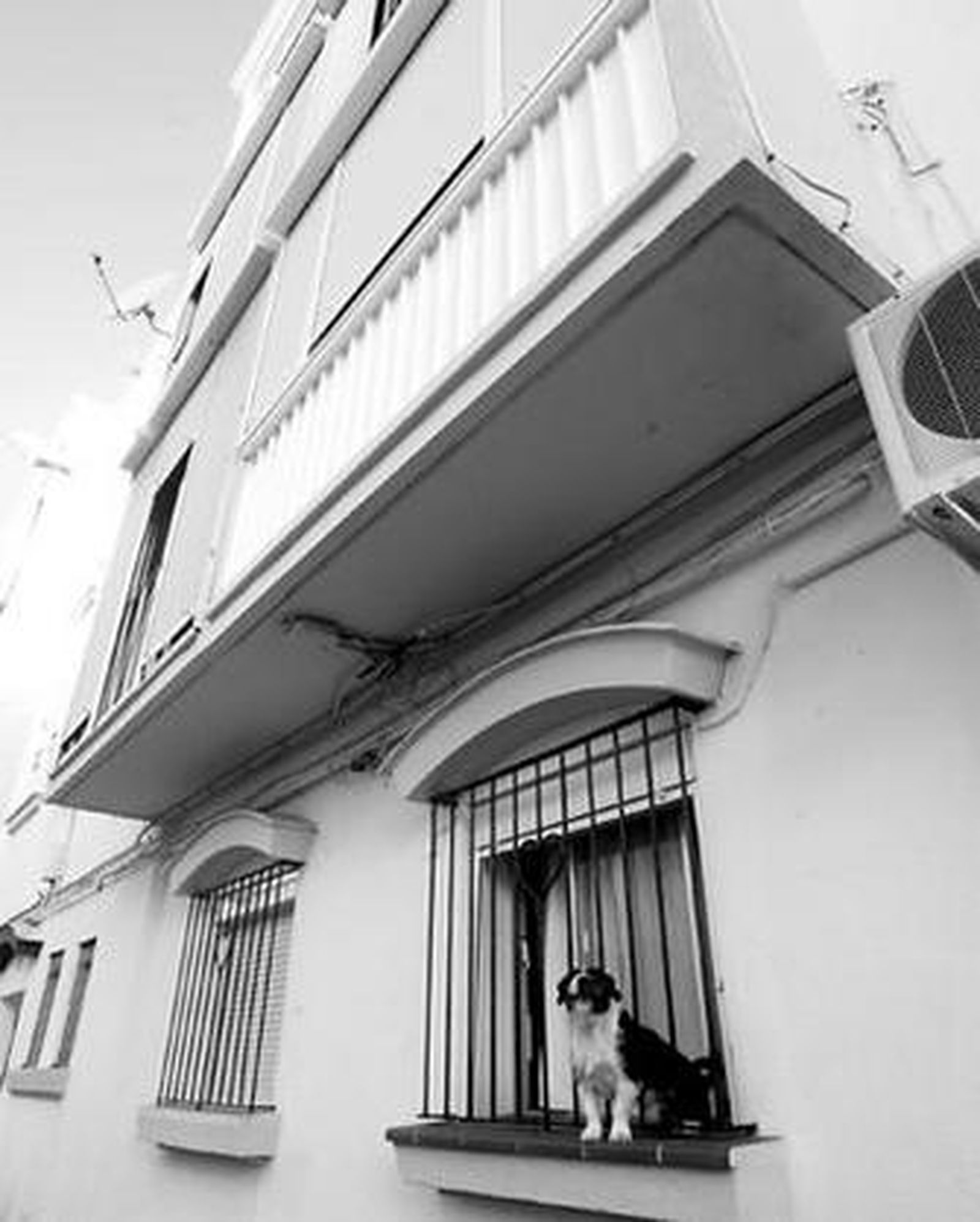 Imagen de los inmuebles conocidos como pisos del fútbol.