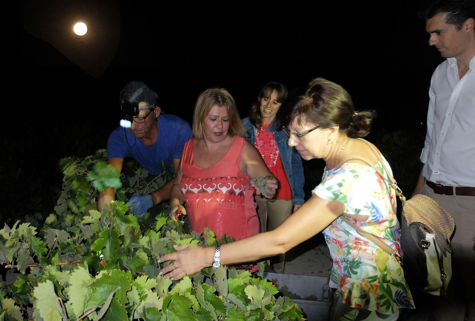 Mamen Sánchez, ayer durante la visita a la vendimia nocturna en la viña El Corregidor.