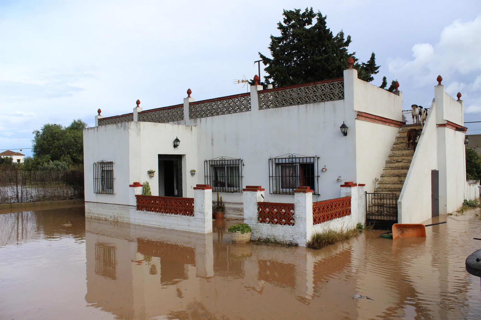 Imágenes del temporal en la provincia de Cádiz
