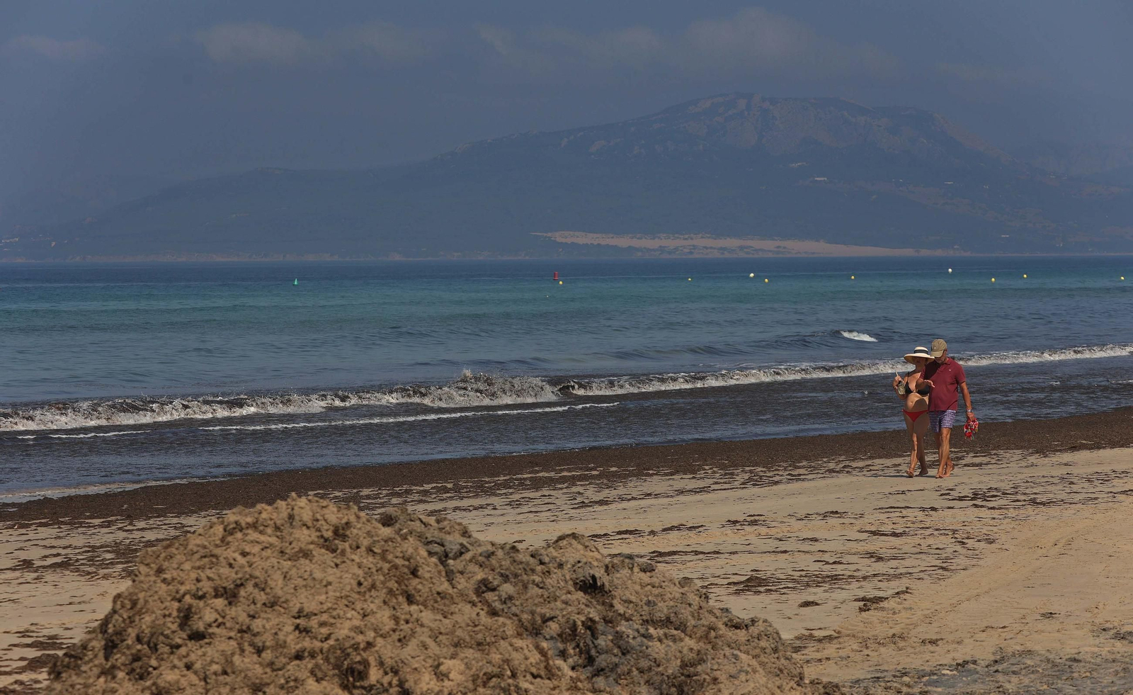 El alga invasora cubre de nuevo la playa de Los Lances en Tarifa