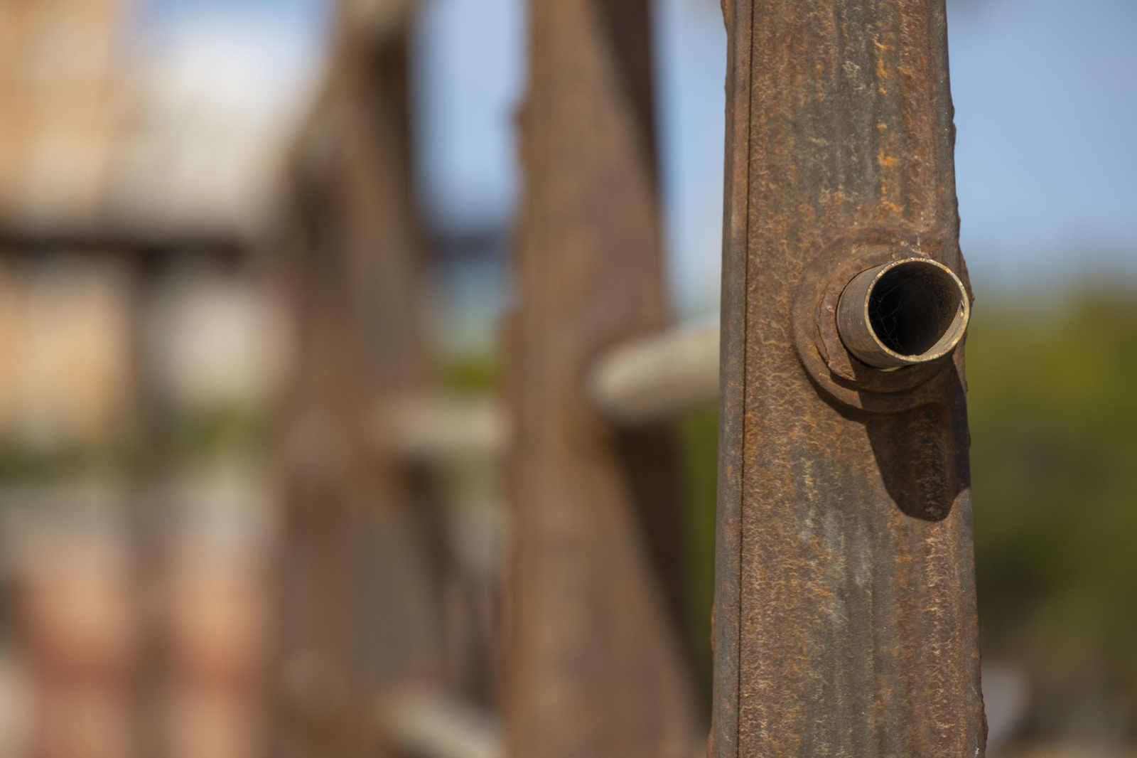 Las imágenes del mal estado de los paseos de Cádiz