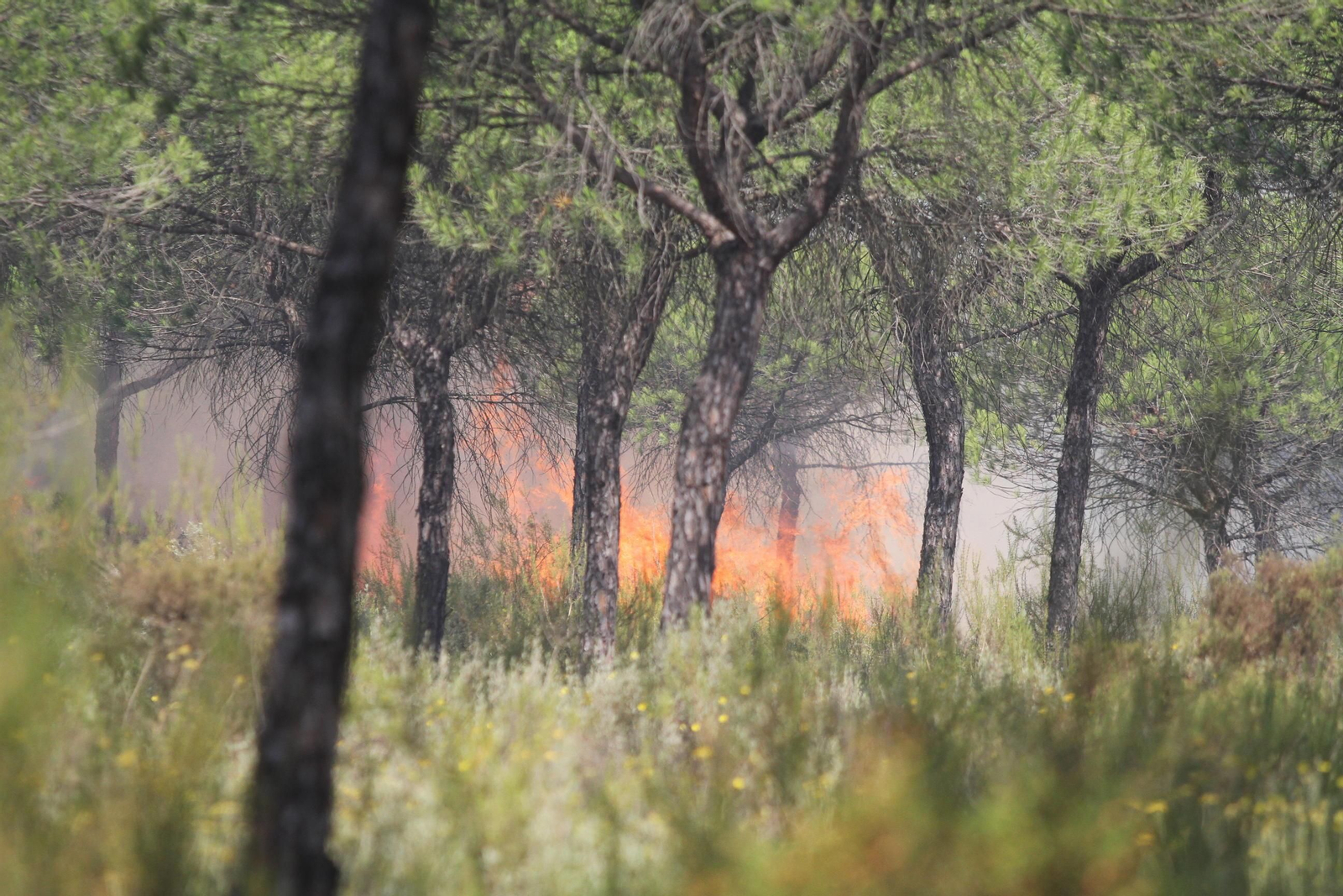 Las imágenes del incendio en Moguer y Mazagón