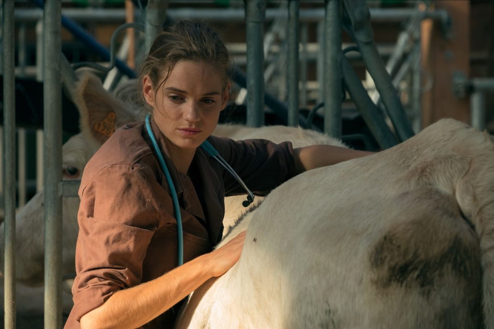 Noémie Schmidt en una imagen de 'Una veterinaria en la Borgoña'.