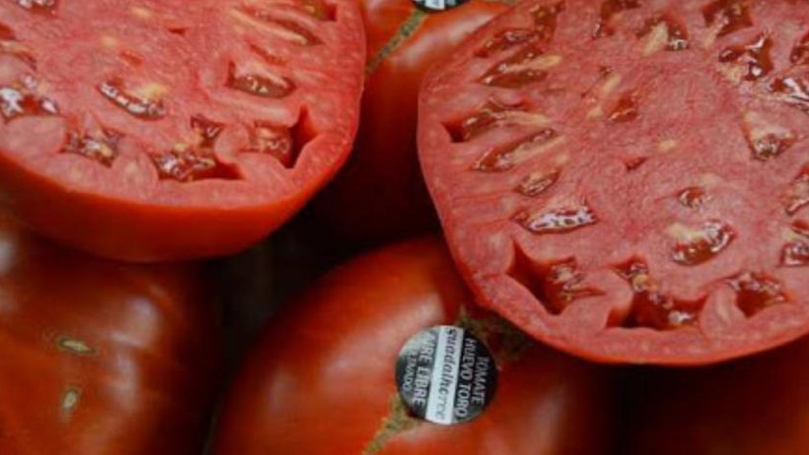 Tomates de la variedad Huevo de Toro