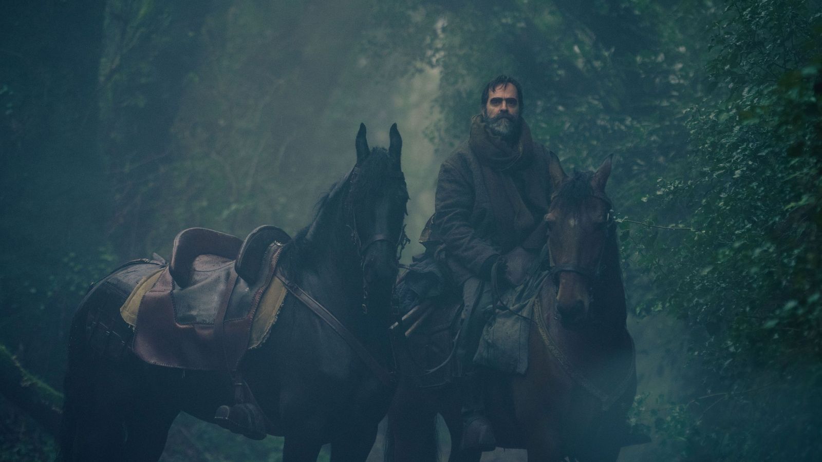 Primera imagen de Lobo