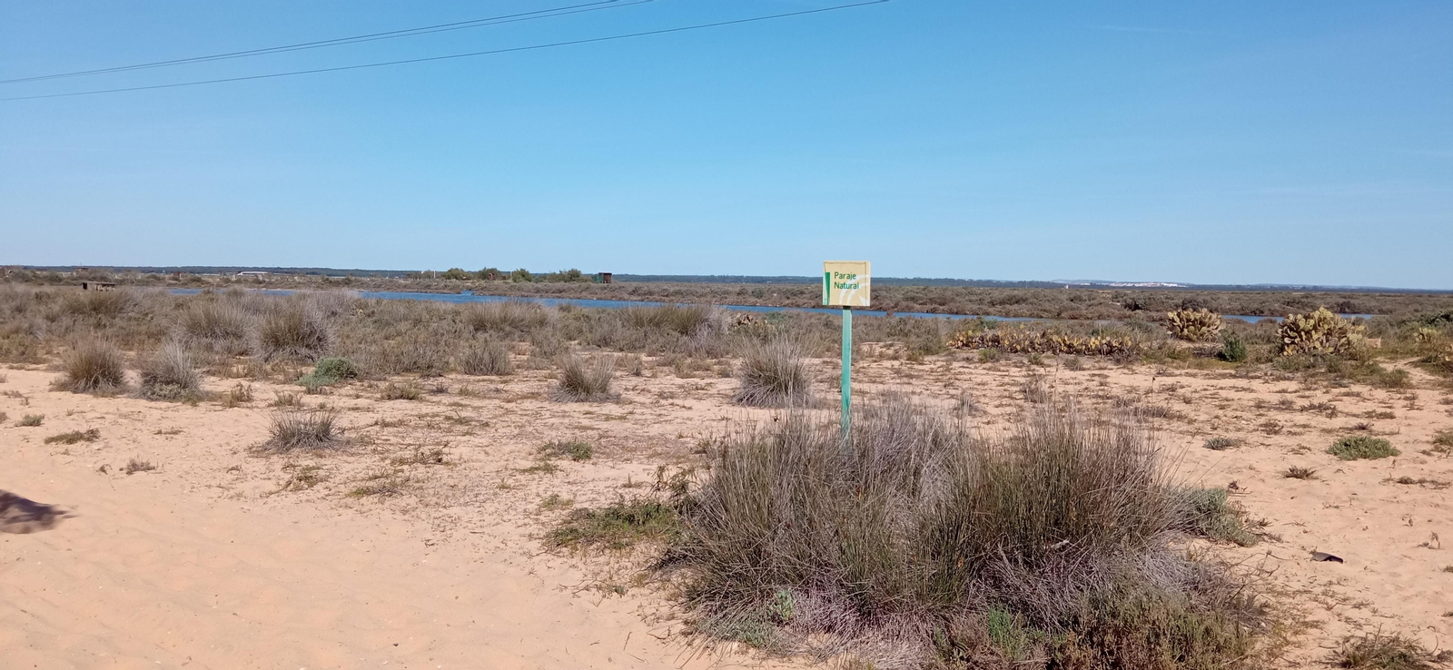 Las imágenes de la ruta de las salinas del Astur y los pinares de Punta Umbría