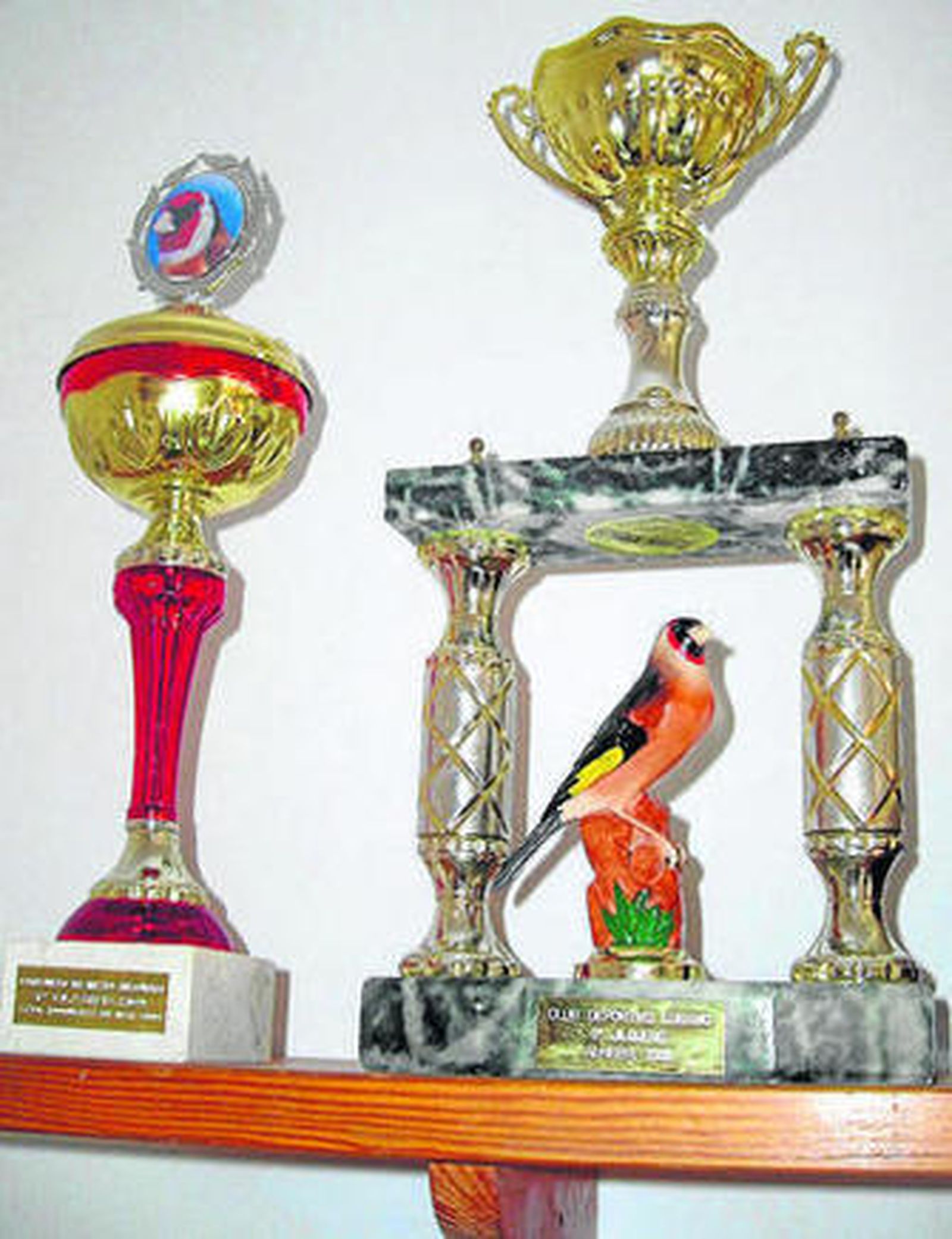 El hombre que susurra a los jilgueros