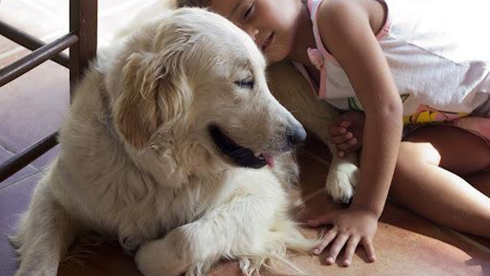 terapia con animales