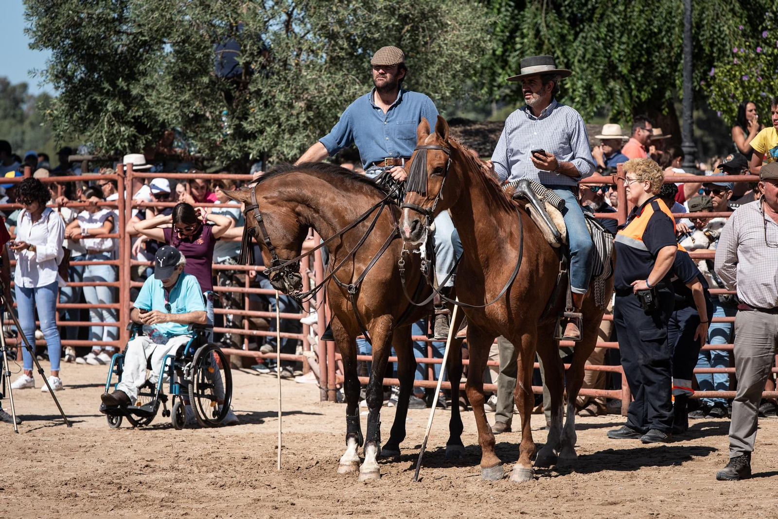 Imágenes de la Saca de las Yeguas a su paso por El Rocío