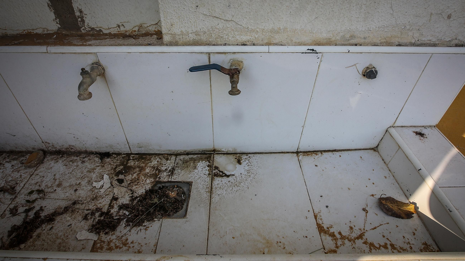 Imágenes del mal estado del CEIP Tartesos