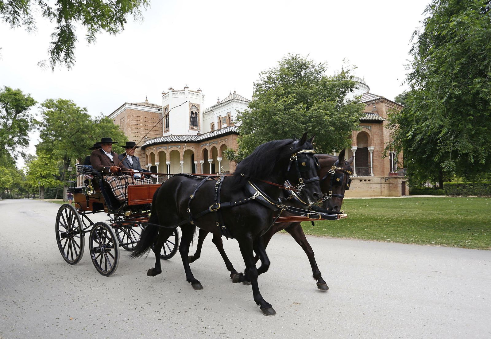 El concurso de enganches, en imágenes