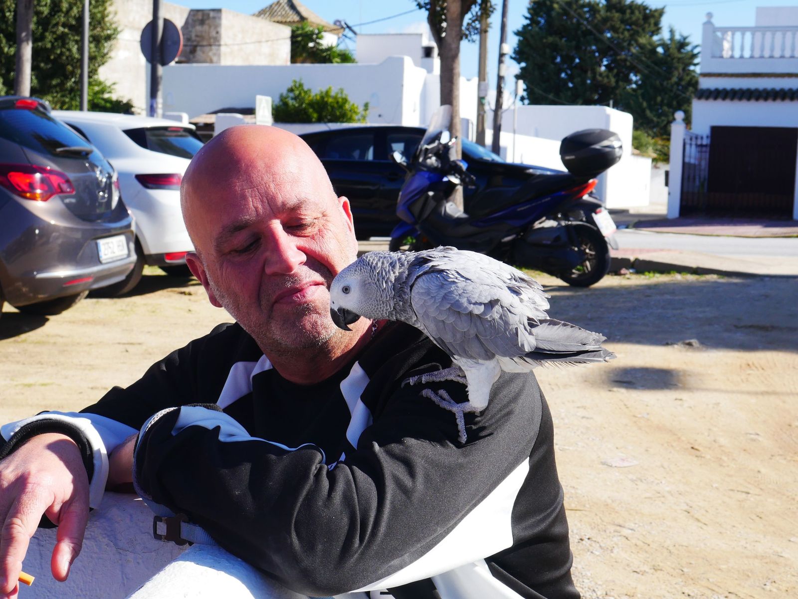 El San Antón de Camposoto de San Fernando en imágenes