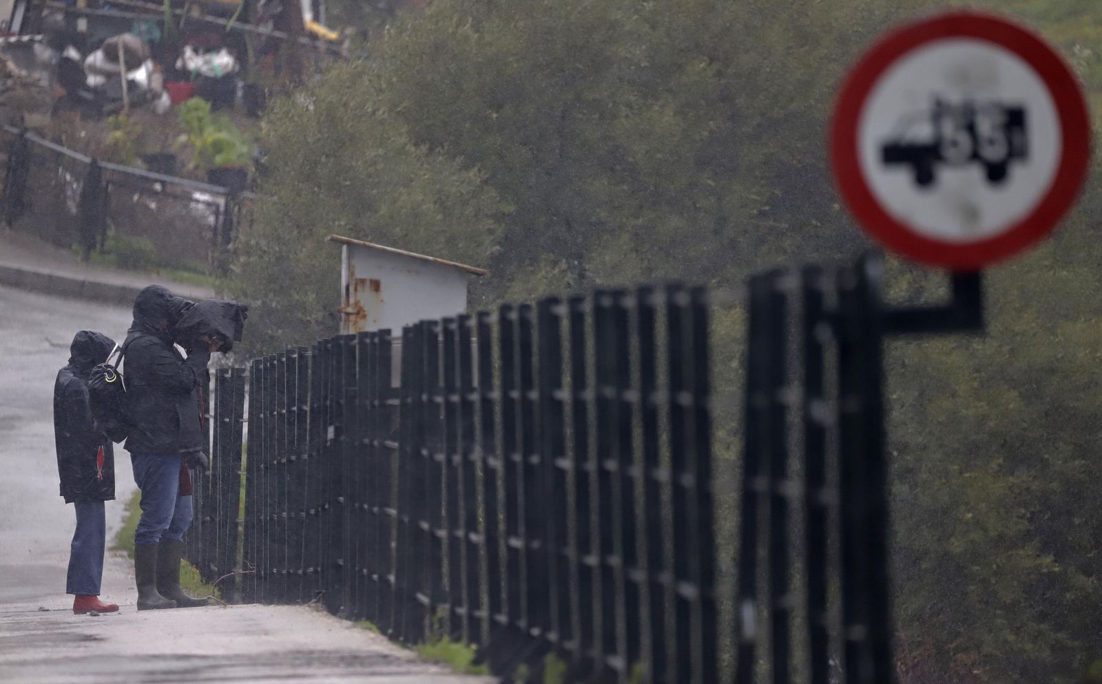 Fotos del temporal de lluvia y viento por la borrasca Kristin en Jimena de la Frontera, San Pablo de Buceite y San Martín del Tesorillo