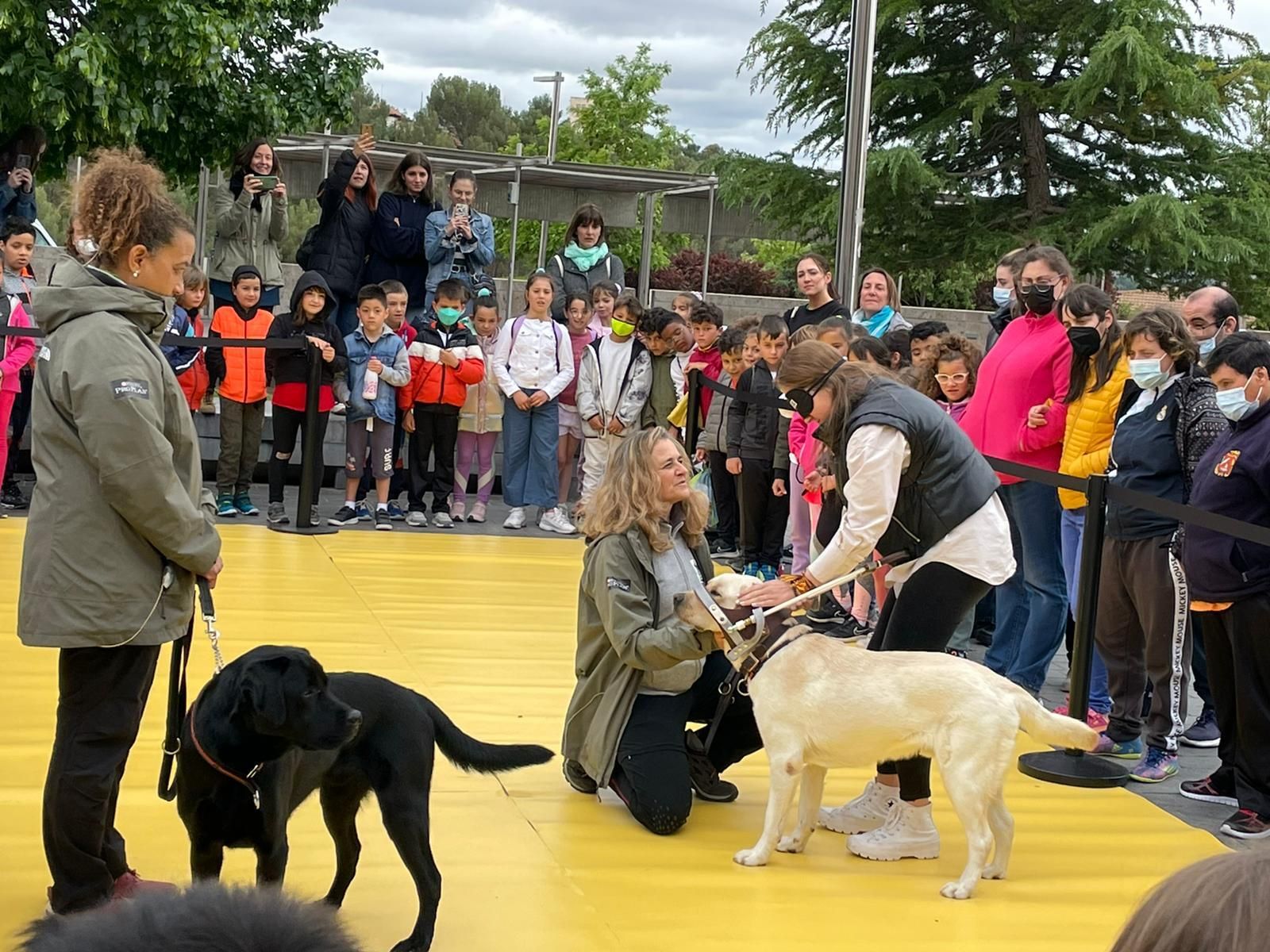 Una exhibición de perros guía abre el lunes 12 de junio la Semana del  Grupo Social ONCE