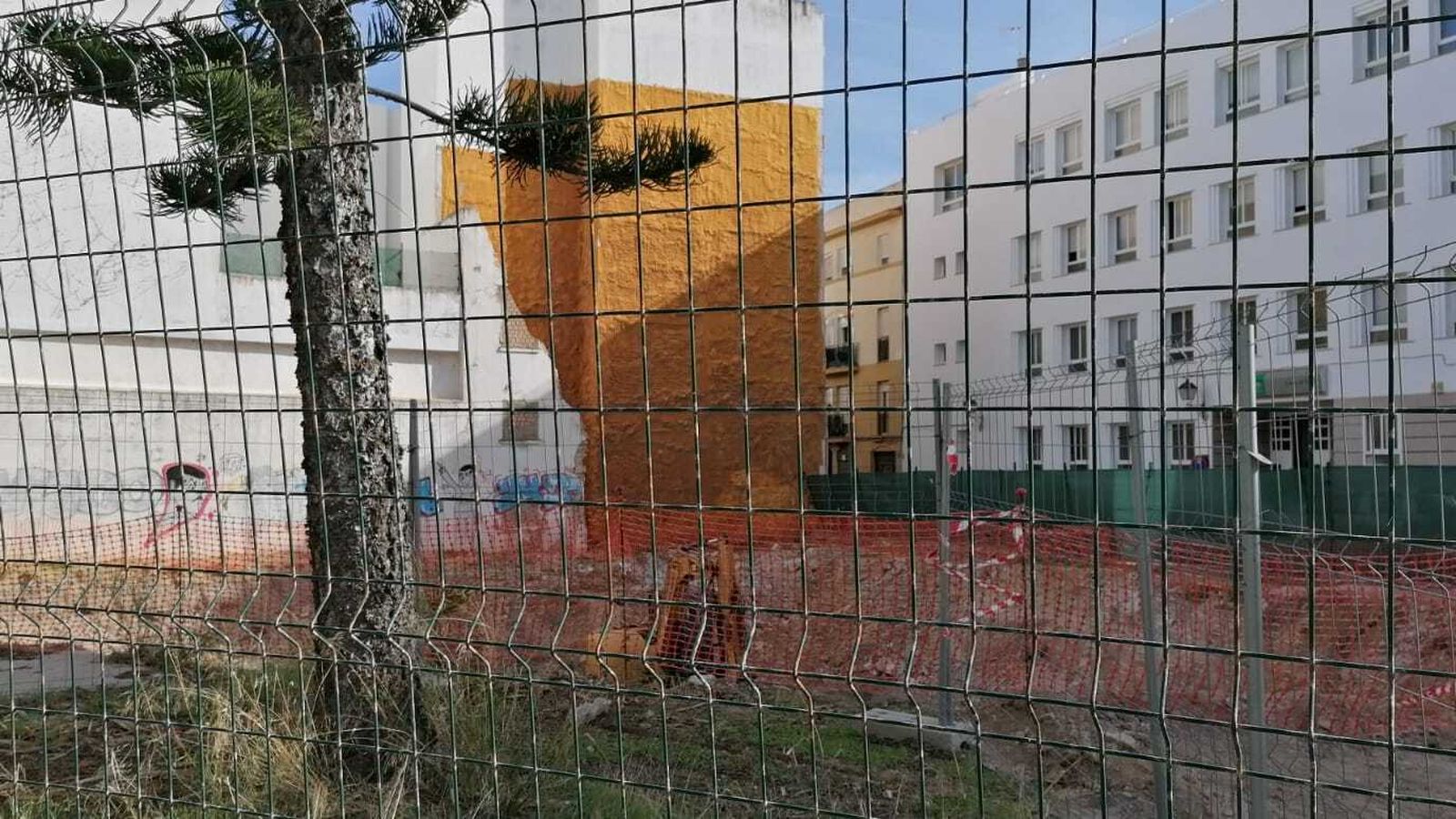 La excavadora trabajando en el antiguo solar de Salus Infirmorum, con la araucaria en primer plano.