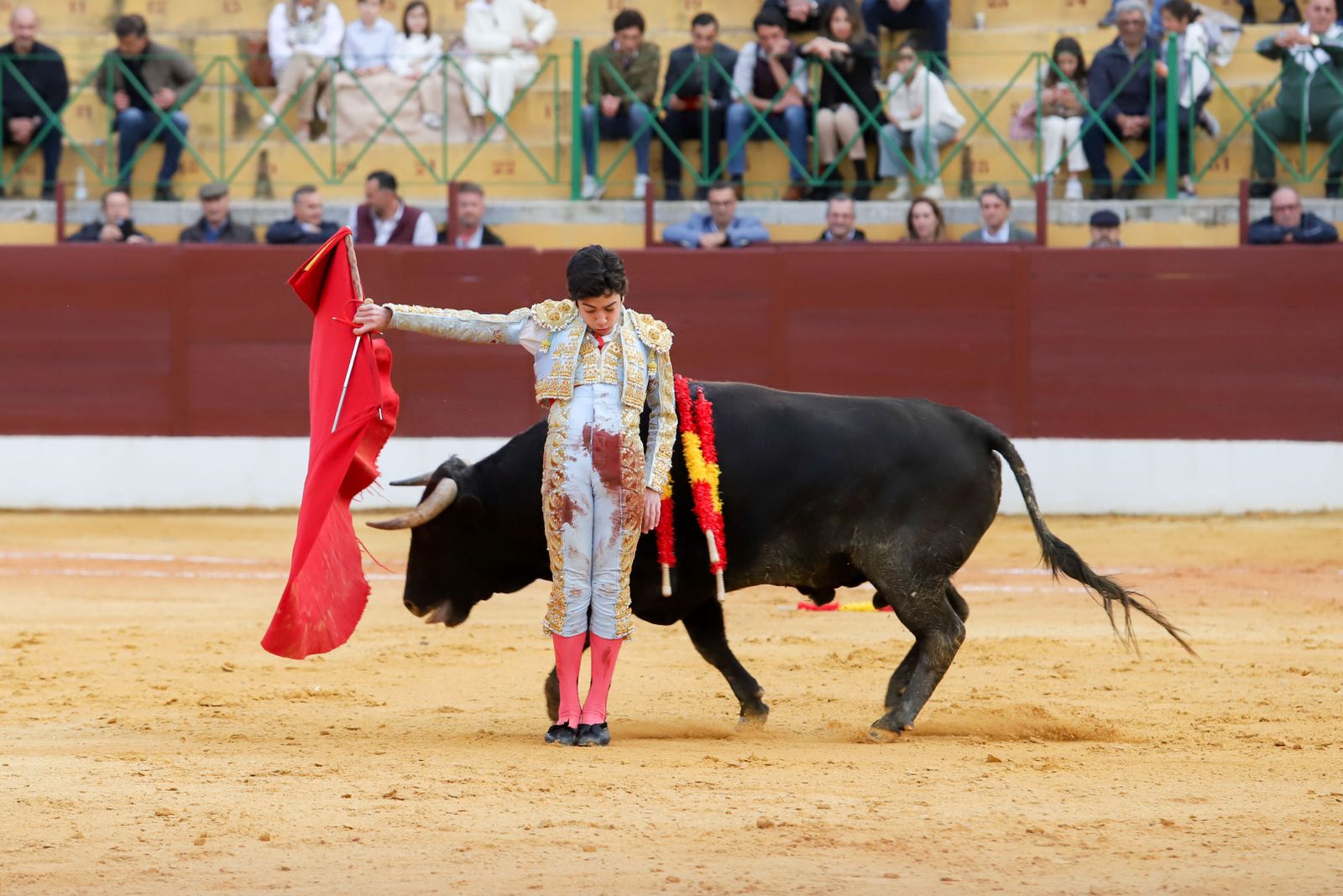 Imágenes de la novillada previa a la Semana Santa en la plaza de toros de La Línea
