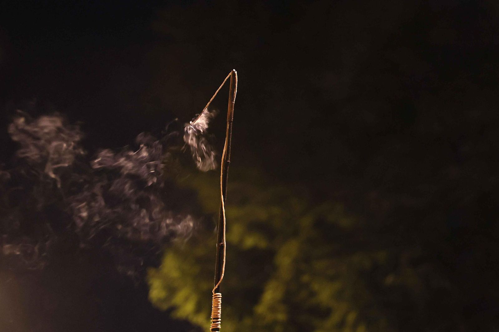 Las imágenes del regreso del Cachorro