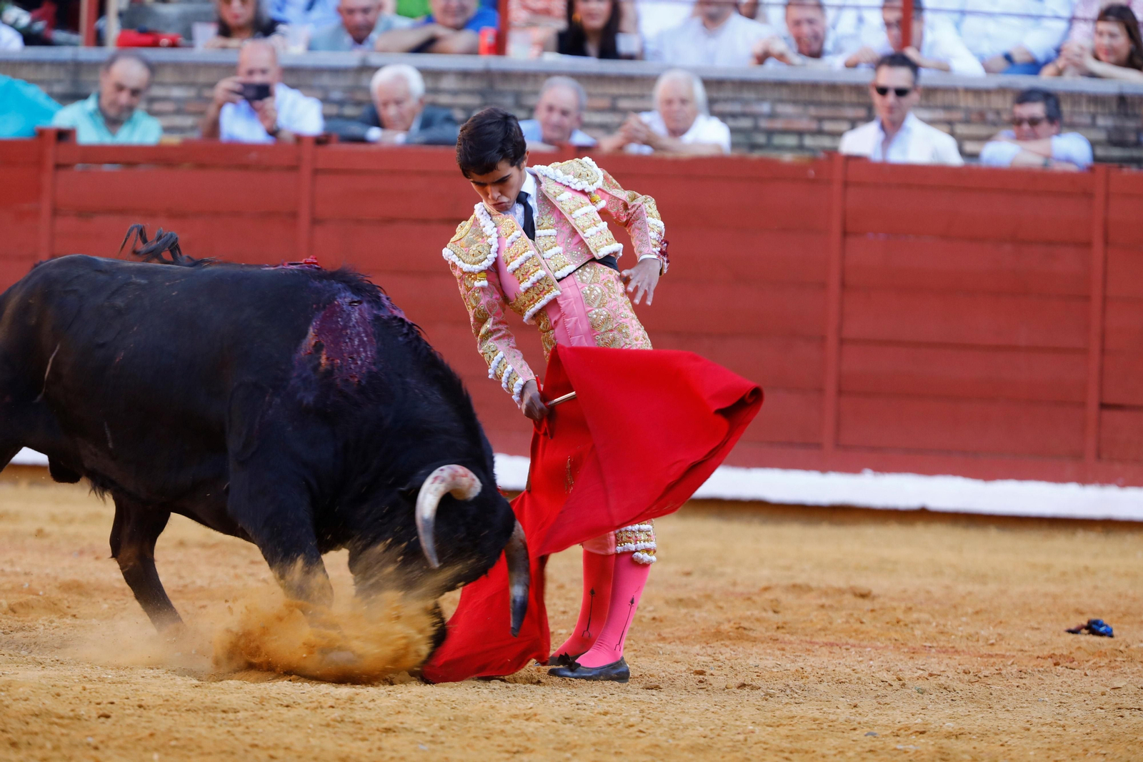 La presentación del novillero Manuel Román en Córdoba, en imágenes
