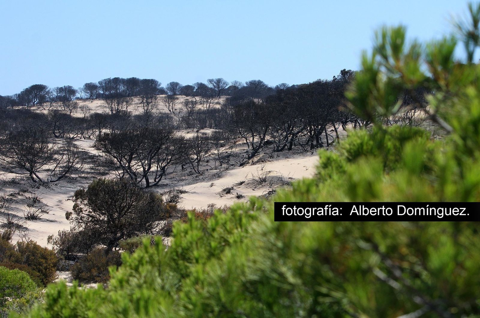 Imágenes de Cuesta Maneli tras el incendio.