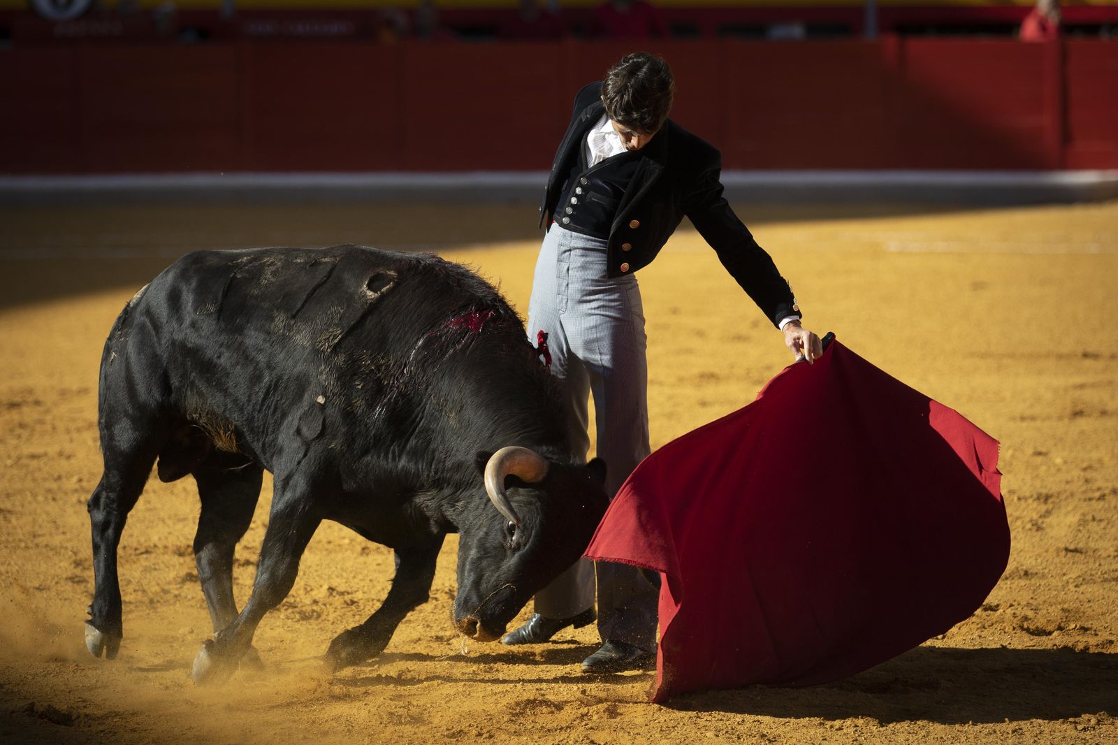 Las mejores imágenes del Festival Taurino en beneficio de Granadadown