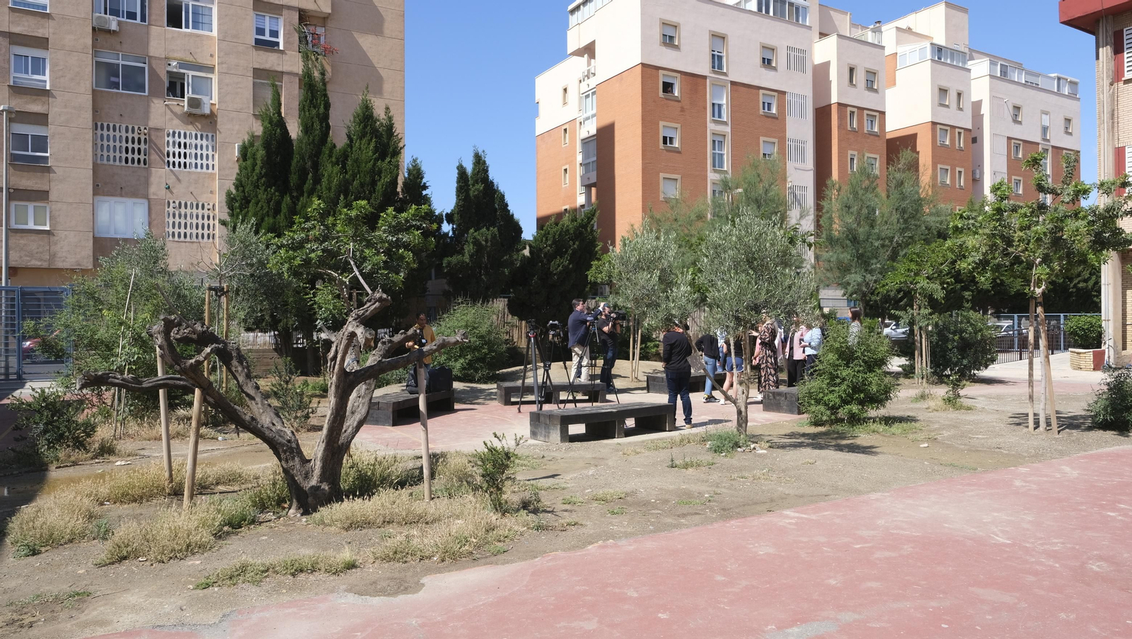 Proyecto Aulas Verdes Abiertas en el Colegio Mar Mediterráneo, de Almería