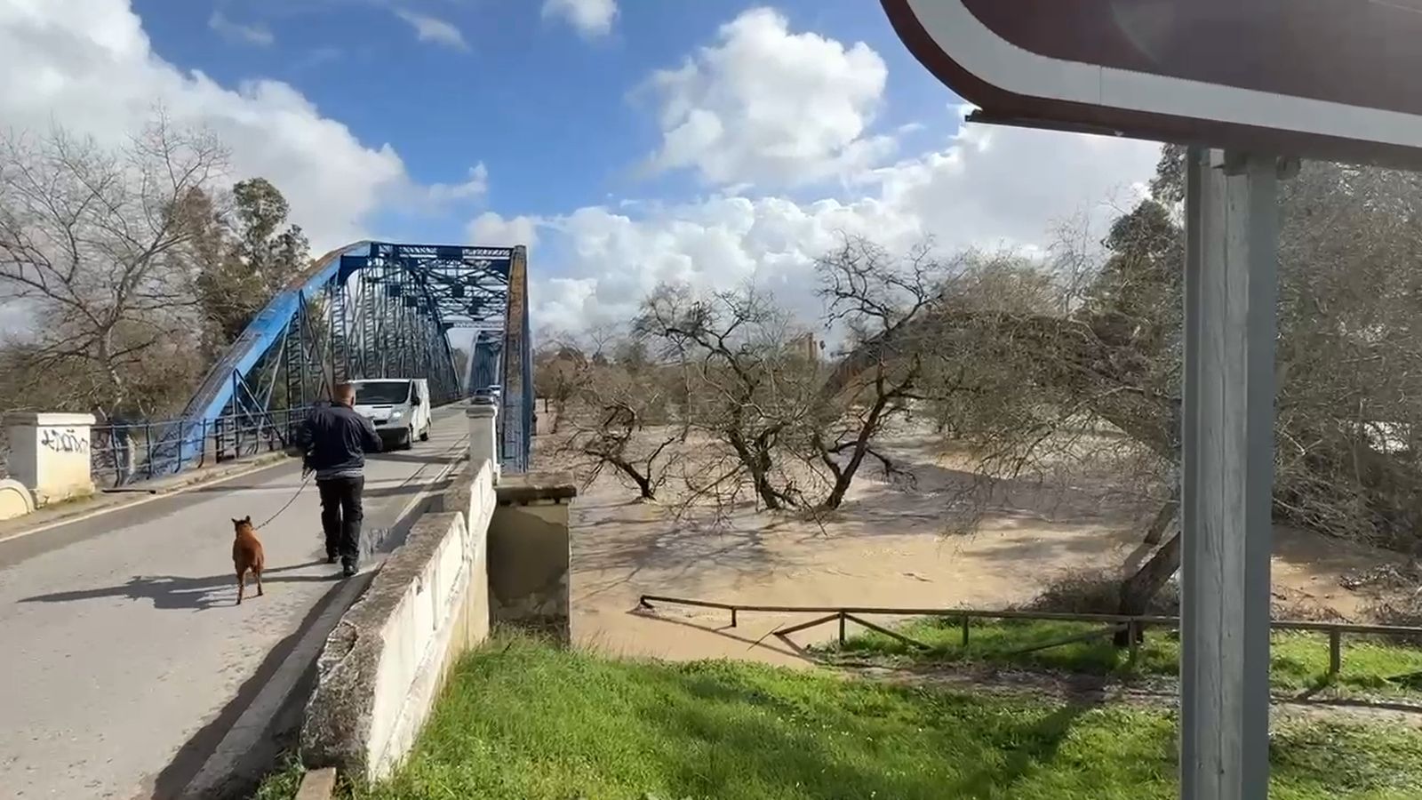 Así baja el río Guadalete a la altura del puente de hierro de La Barca de la Florida