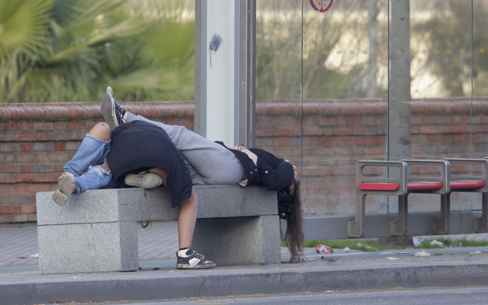 Primeras imágenes del Año Nuevo