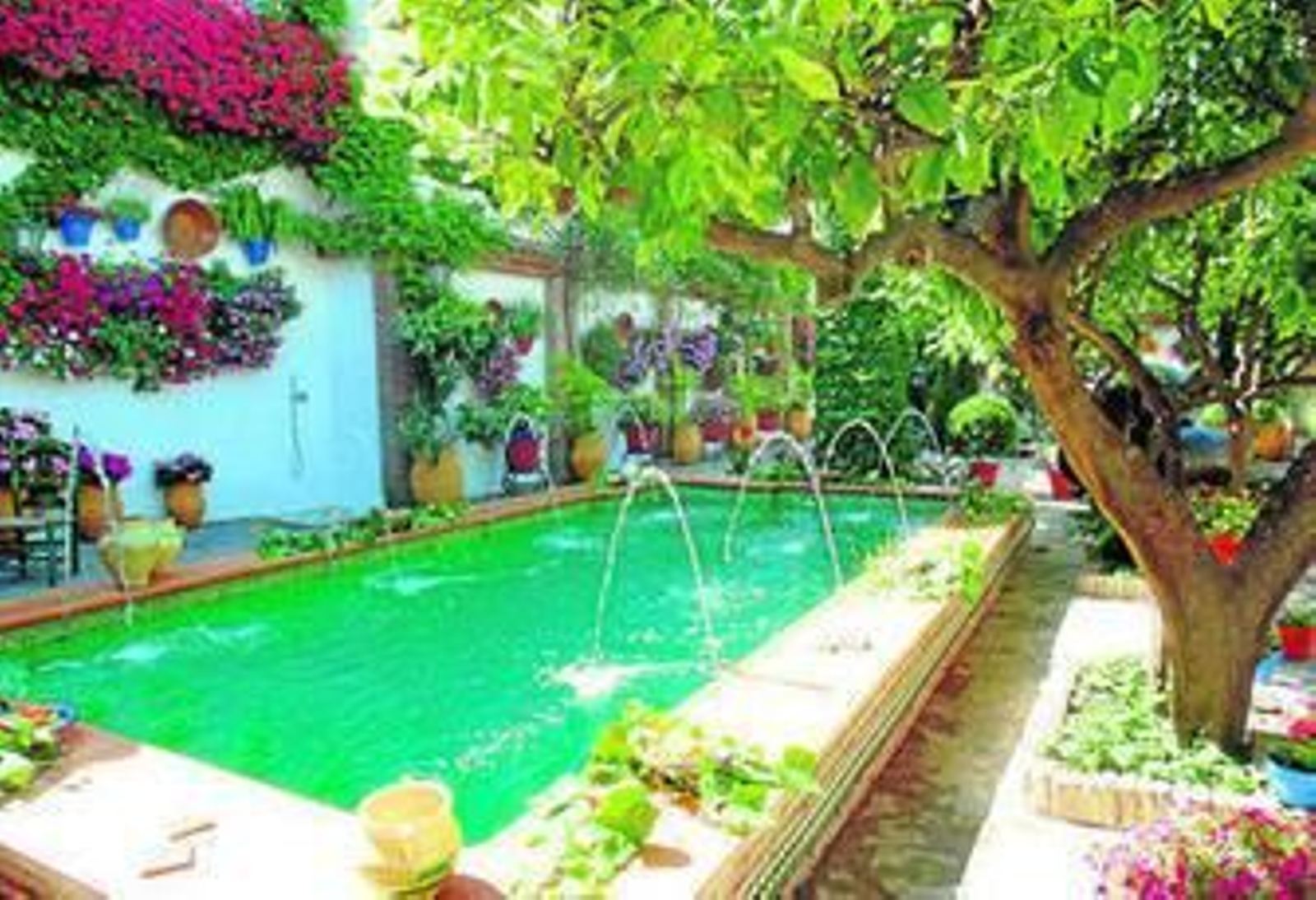 Espacio cuidado por Anselmo Córdoba, en la calle Empresaria Teresa Córdoba, en Rute.