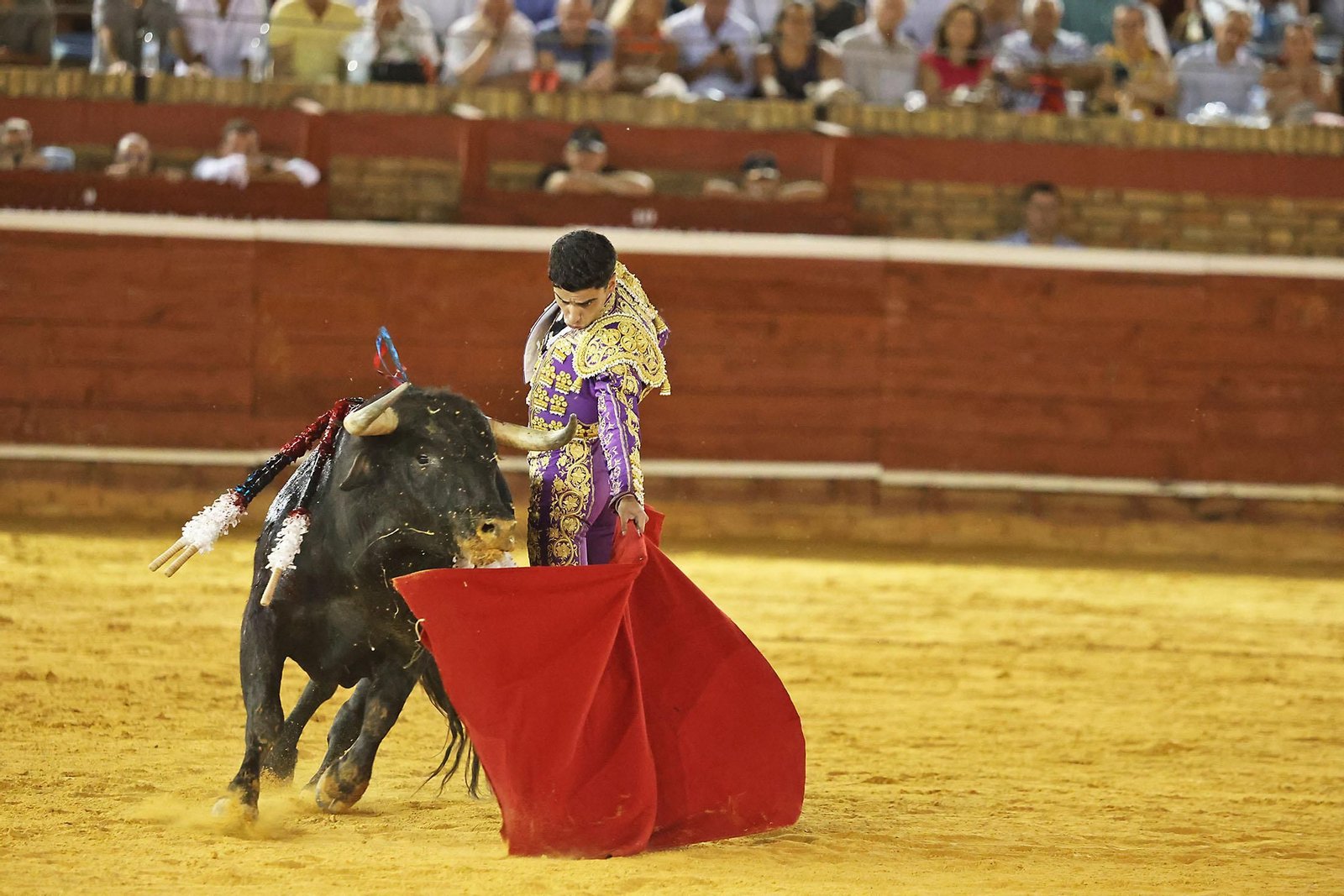 Toros La Merced 2024 Novillada con picadores(